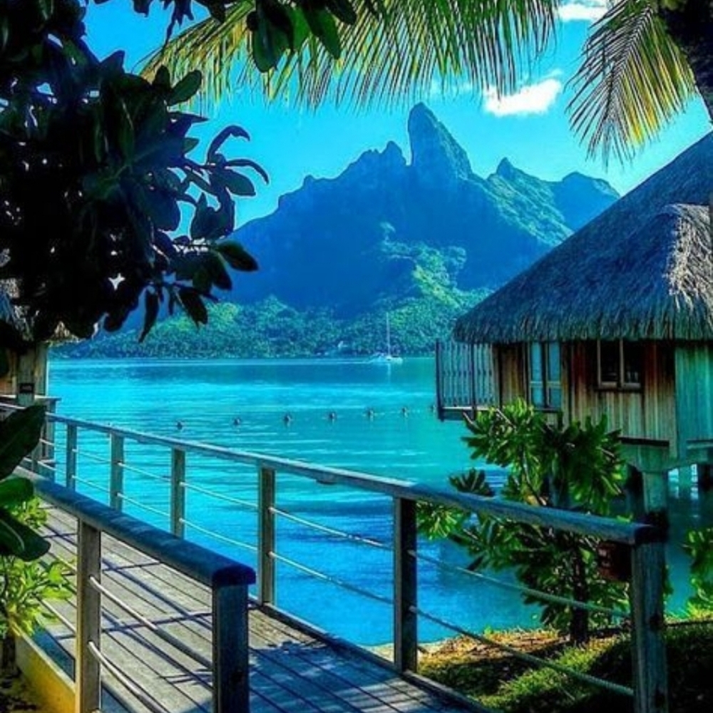 Meet your Posher, JCS!